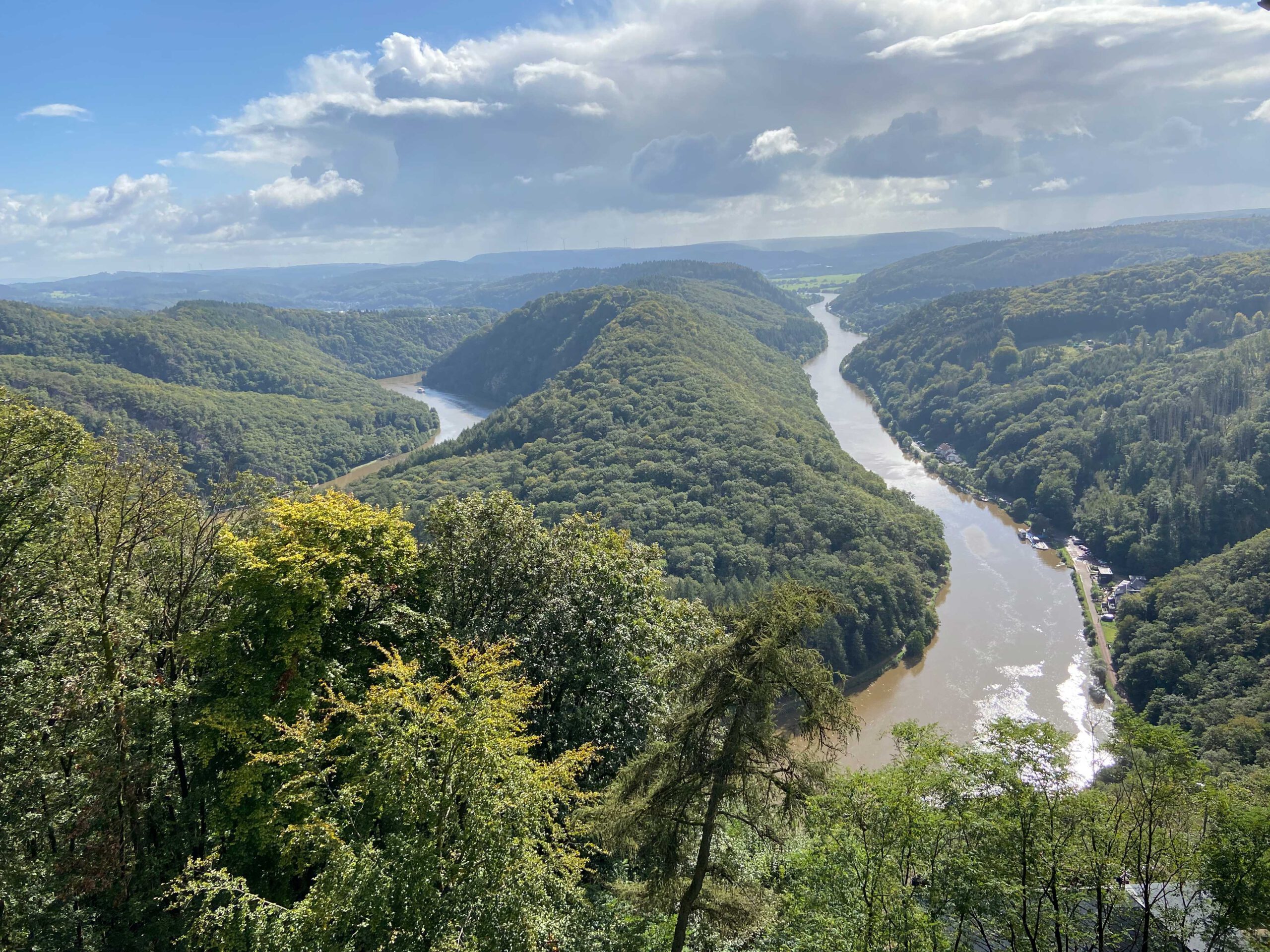 Baumwipfelpfad Saarschleife